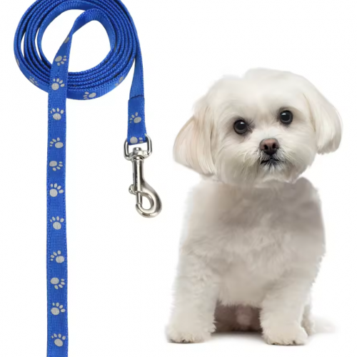 Screen Print Dog Leash 