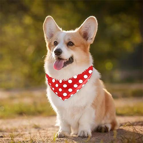 Pet Triangle Bandana